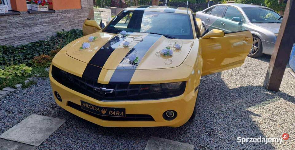 Chevrolet Camaro 36 304 konie 2010 r SS Zamiana śląskie Strumień