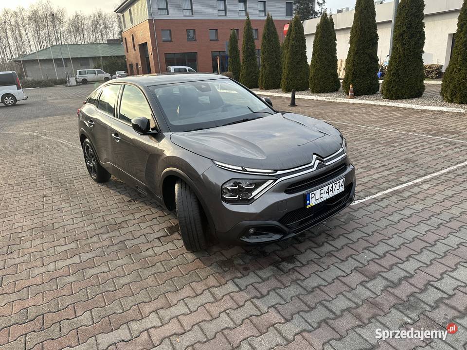 Śliczny bogato wyposażony Leszno