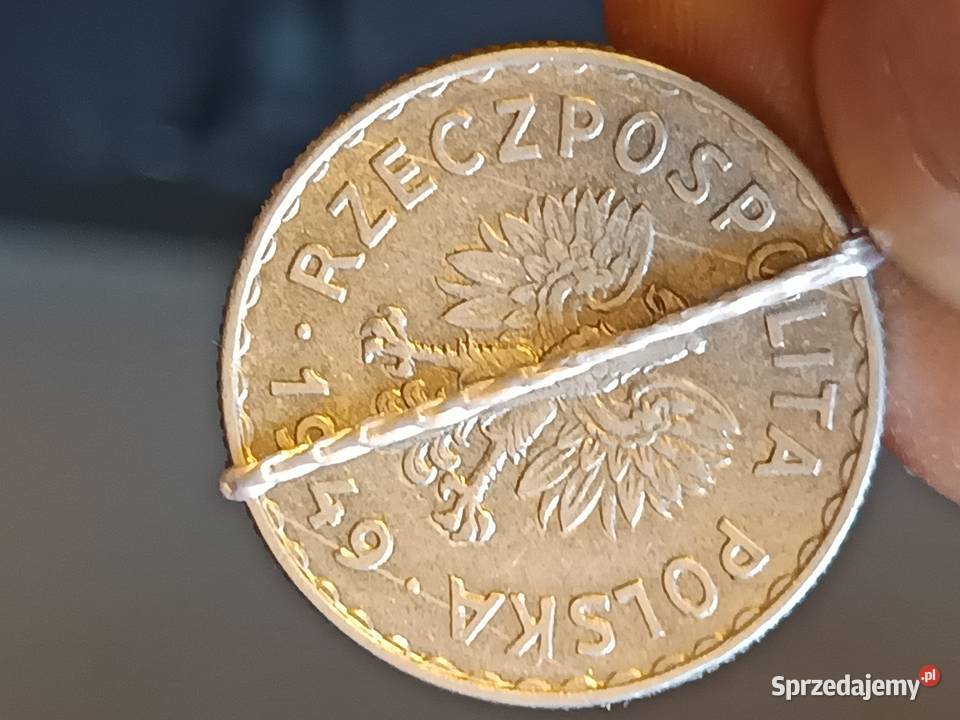 Sprzedam monetę 1 zloty 1949 mała skrętka Chełm sprzedam