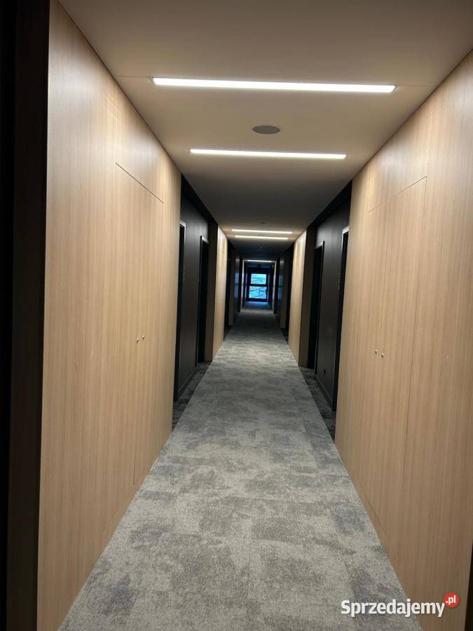 Apartament do wynajecia Plac Wolności 6 ogródek Poznań