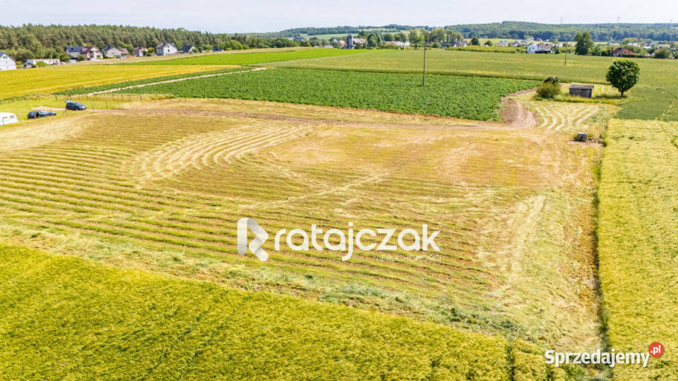 Działka 1014m2 Robakowo Królewska 27m Nieruchomości sprzedam