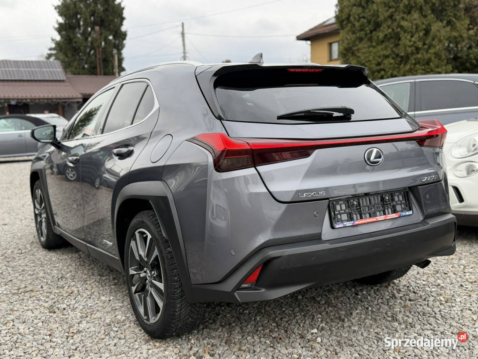 Lexus UX 250 Hybrid Ful LED Premium śląskie Łodygowice