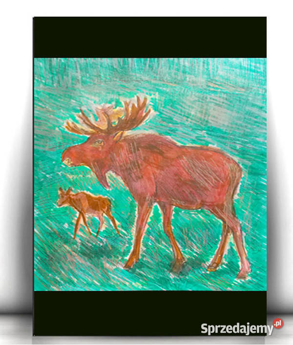 zwierzęta plakat A4 myśliwski obraz z łosiem Szczecin sprzedam