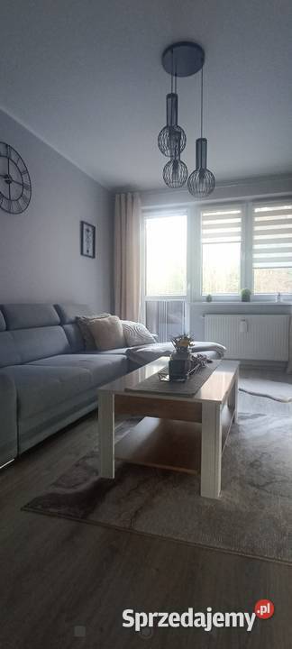 Sprzedam mieszkanie w Nowym Mieście 69m2 Nowe Miasto Lubawskie