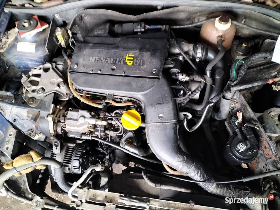 RENAULT CLIO 2 19 DTI SILNIK SKRZYNIA BIEGÓW osobowe Kamień-Kolonia