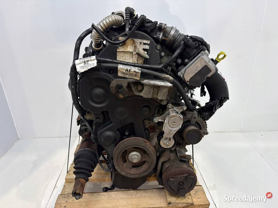 SILNIK KOMPLETNY G8DD Ford Focus II MK2 C C 16 Chełm