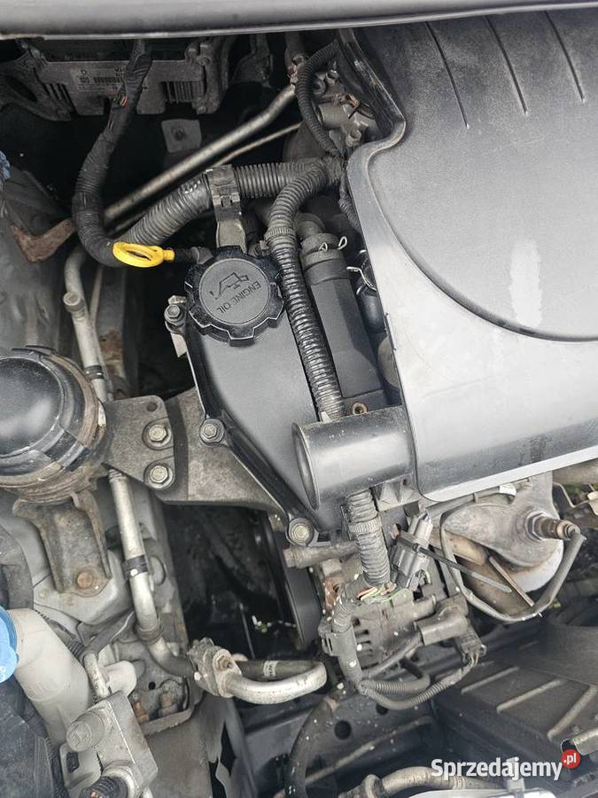 Toyota yaris Yaris Bukowice