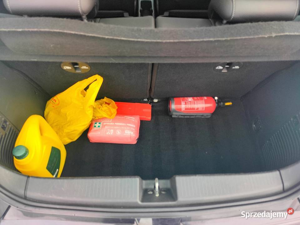 Opel Adam Polski salon przebieg 100 14 Opel Brzóstowa sprzedam