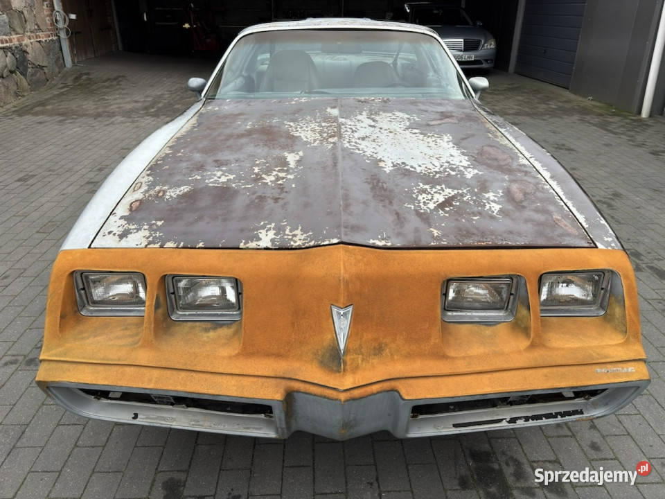 Pontiac Firebird Trans Am Pontiac Firebird 1981 2/3 sprzedam