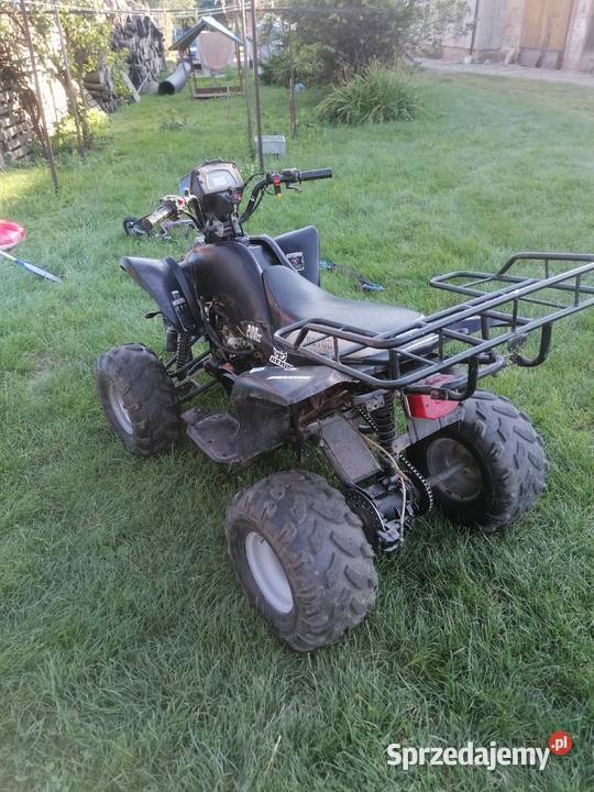 Spraedam Bashan 150 automat Pichorowice