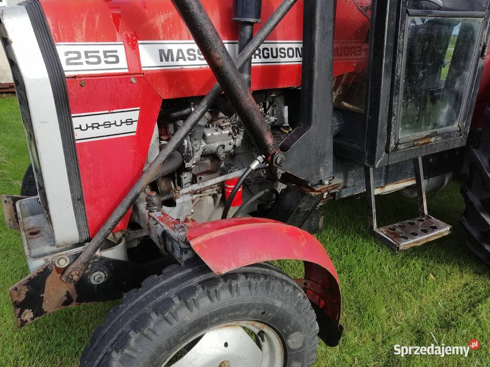 Massey Ferguson 255 z turem Bogoria