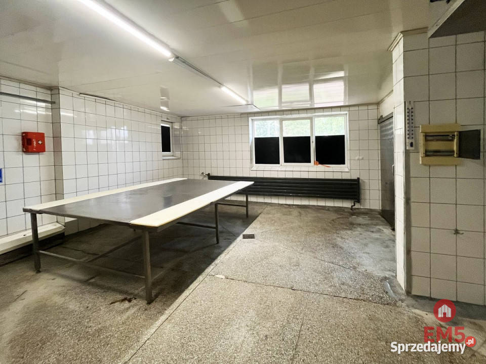 wynajmu lokalu Białystok 450m2 Ilość pomieszczeń 6