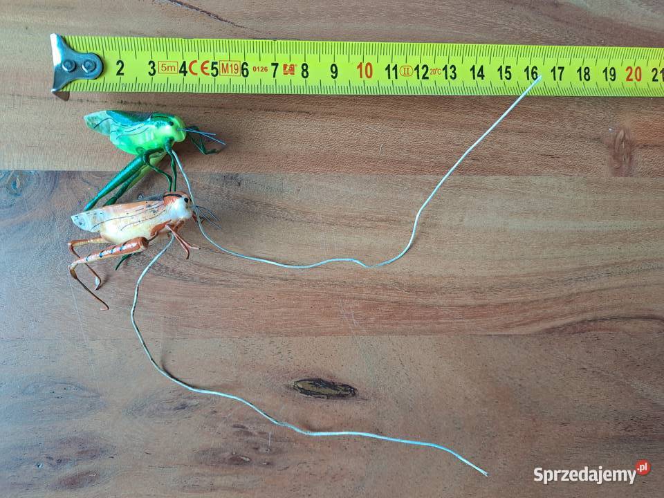 Ozdoby Koniki Polne 2 sztuki Konik polny mazowieckie Warszawa