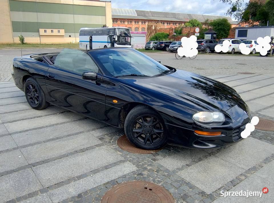 Chevrolet Camaro IV Convertible 2001r 38 V6 1 Wł sprowadzony warmińsko-mazurskie Elbląg