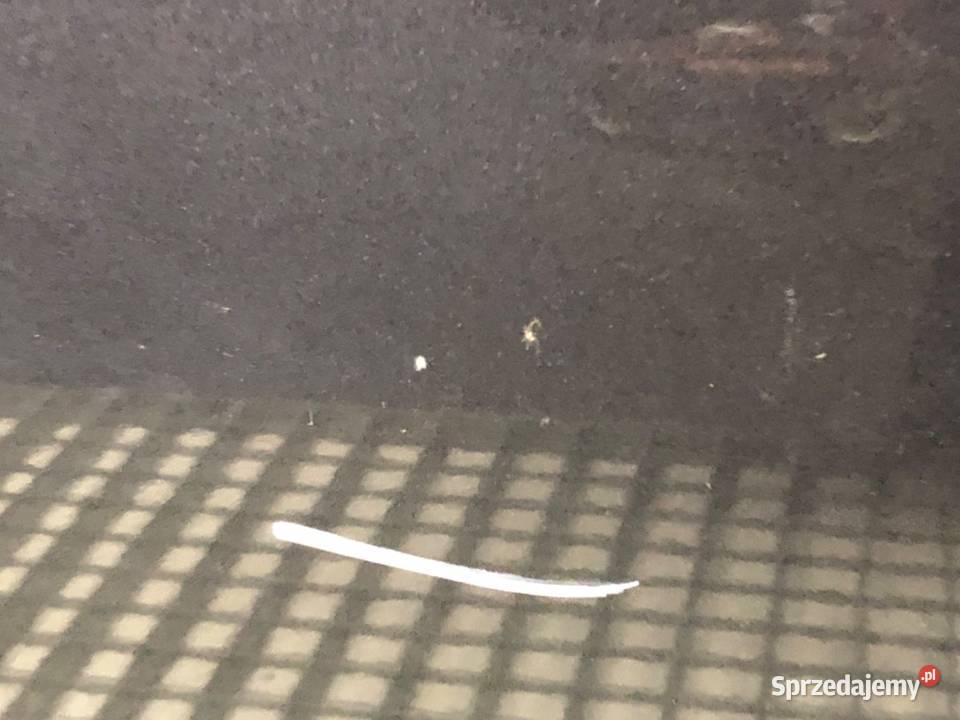 DRZWI PRAWY PRZÓD KIA OPTIMA SedanLimuzyna osobowe