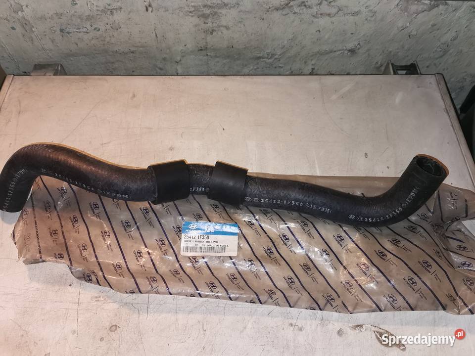 254121F350 Oryginalny wąż przewód chłodnicy Rok produkcji 2004 Elbląg