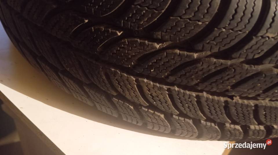 Opony zimowe Dębica Frigo 2 1756514 Nowy Targ