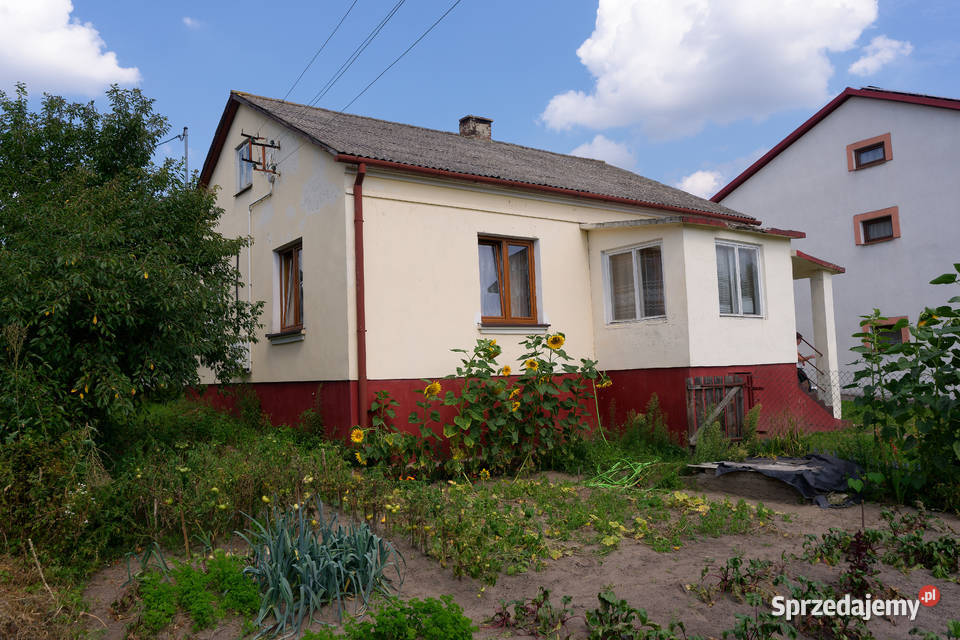 Sprzedam dom z siedliskiem 1024 m2 Pałecznica