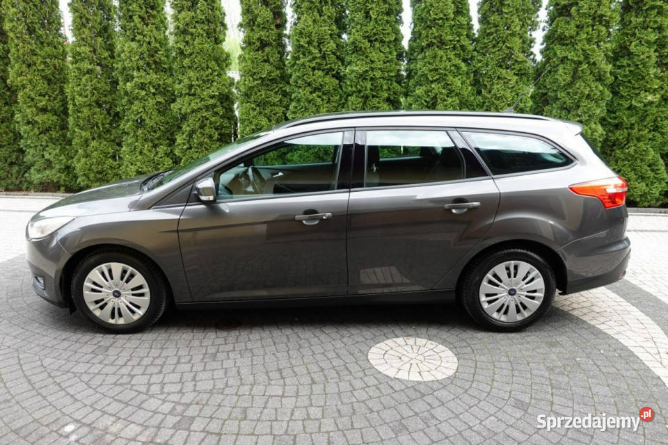 Ford Focus LIFT Navi 125 6 Biegów GWARANCJA serwisowany w ASO Płońsk