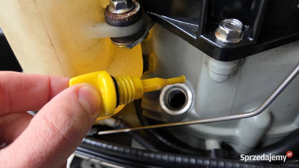 Silnik zaburtowy SUZUKI DF5 5 serwisie pierwszy Sporty wodne opolskie Olesno