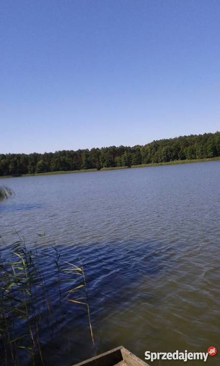 Działka z domkiem jeziorem 30m lubuskie Kuligowo