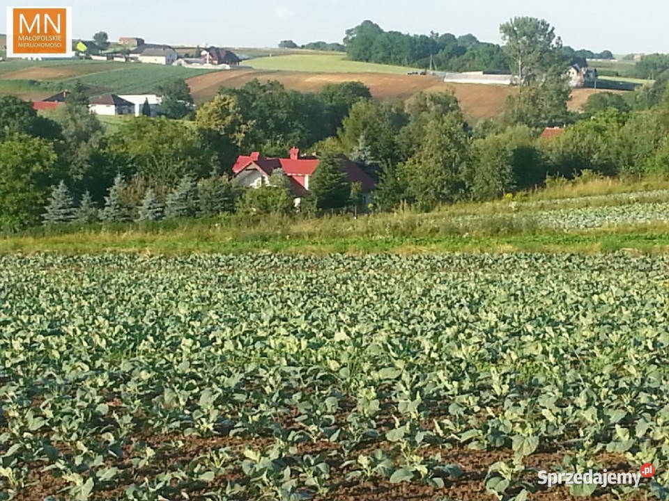 Działka Wronin 1560m2 25m