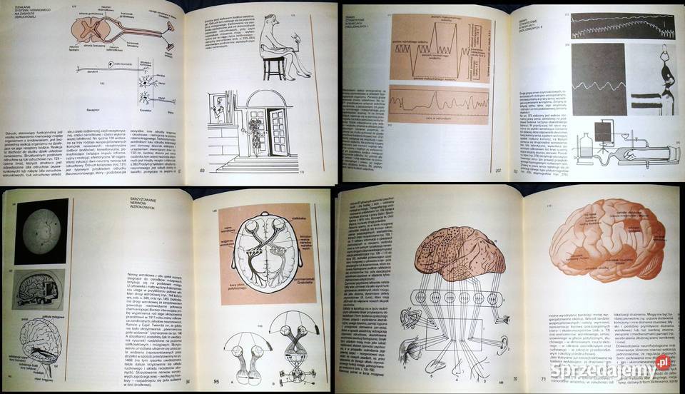 Atlas psychologiczny Włodzimierz Szewczuk Rok wydania 1979 Chełm