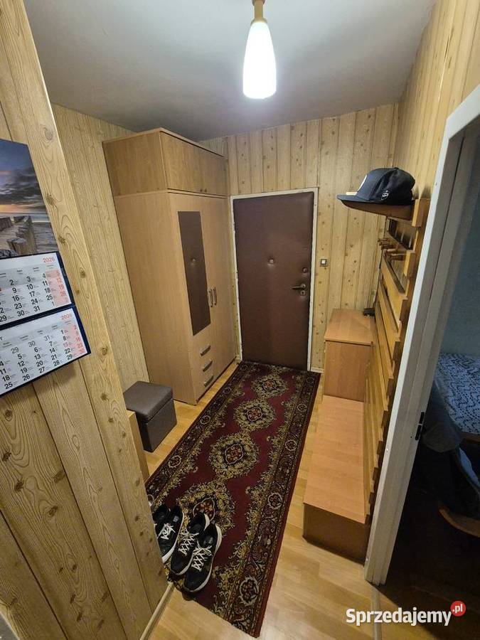 Na sprzedaż mieszkanie 5357 m 2 pokoje Balkon Świdnica