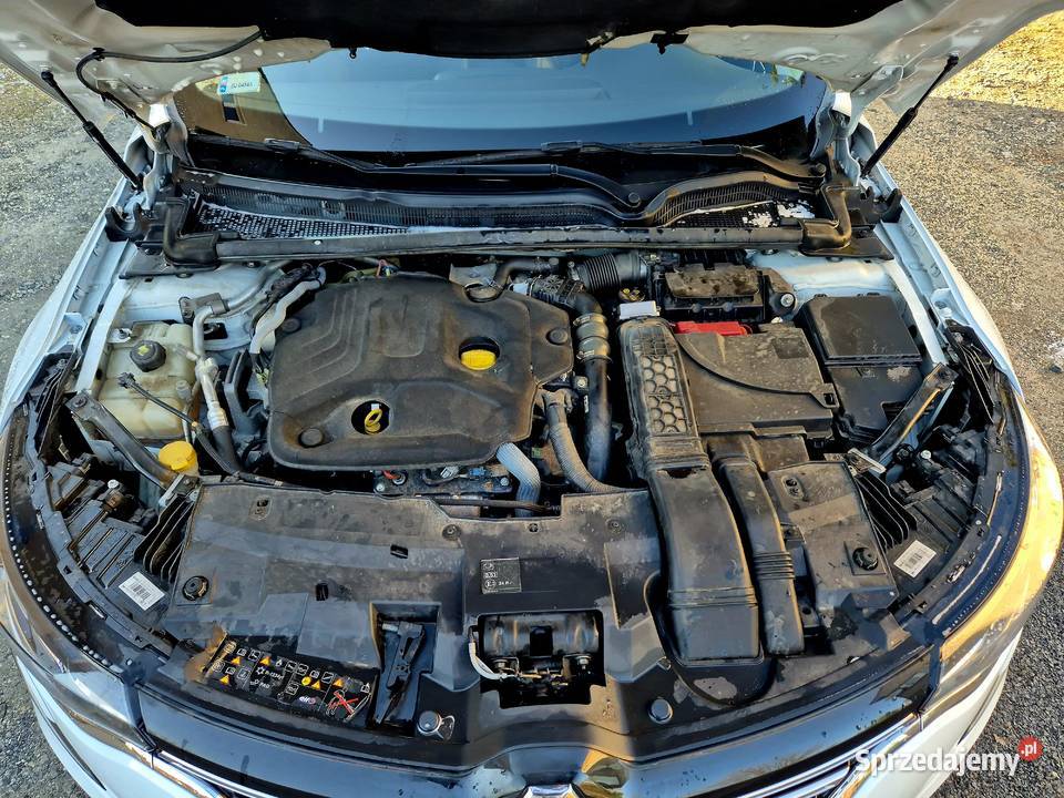 Renault Talisman 2019r 17dCi 150 Jelenia Góra
