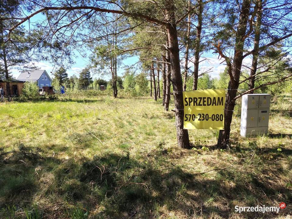 Dwie działki budowlane w Szczechach Wielkich Szczechy Wielkie