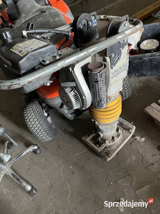 Skoczek Wacker mazowieckie sprzedam