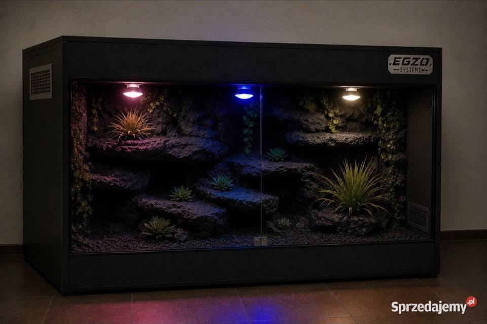 Terrarium pustynne gekona lamparciego agamy Sieradz