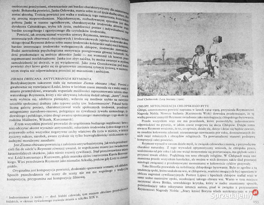 Młoda Polska Literatura kl 3 Tomasz Weiss Chełm