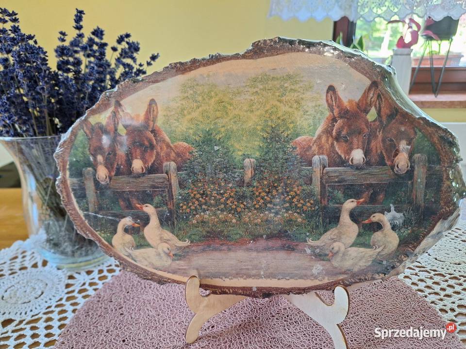 Ovrazek na owalnym plastrze brzozyOsiołki w Strzyżów