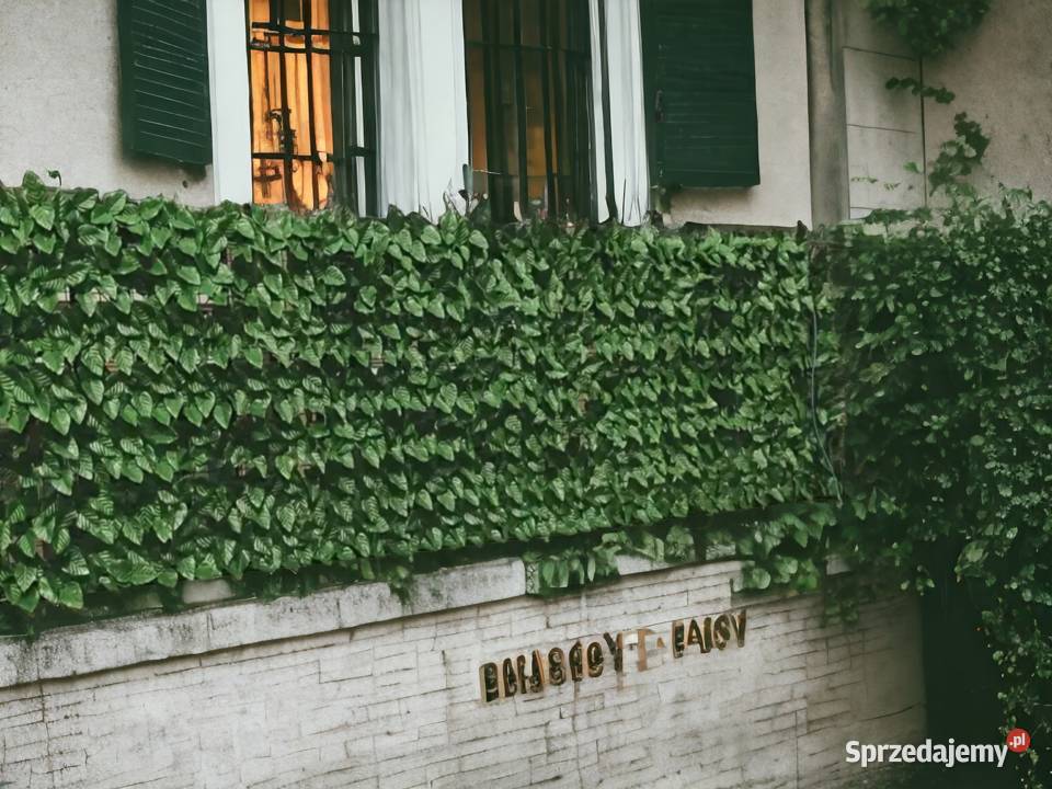 Żywopłot sztuczny bluszcz 3m x 50 Trytytki Warszawa