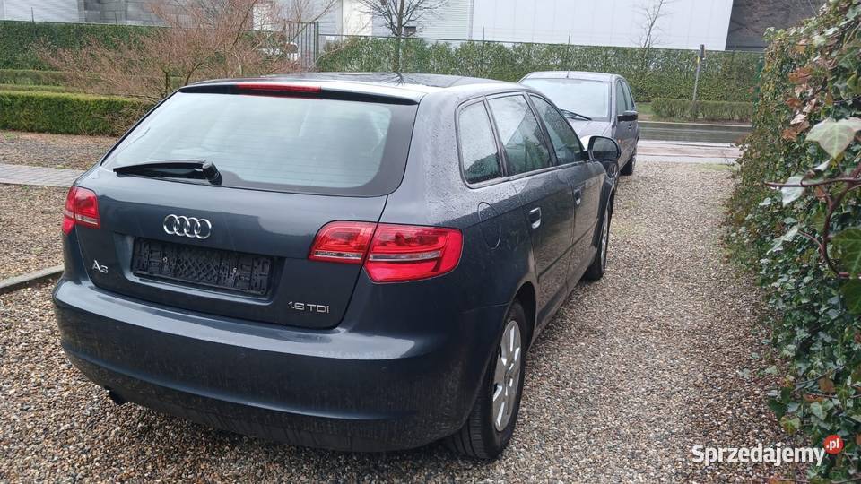 Audi A3 poliftingu czujnik parkowania Zamość