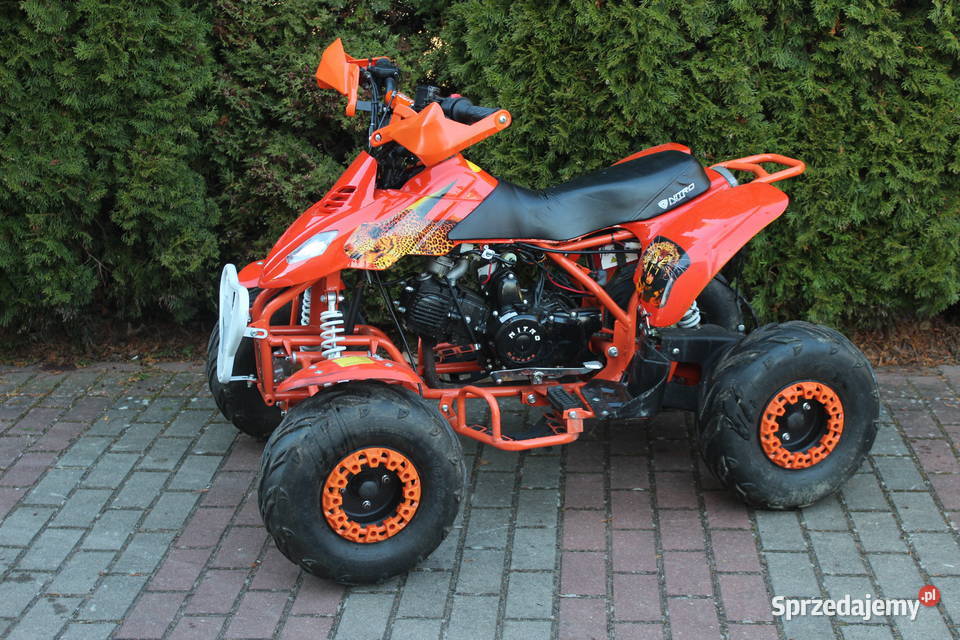 Quad pojemność 110 125 cc czterosuw benzyna 125cm3 Goleniów