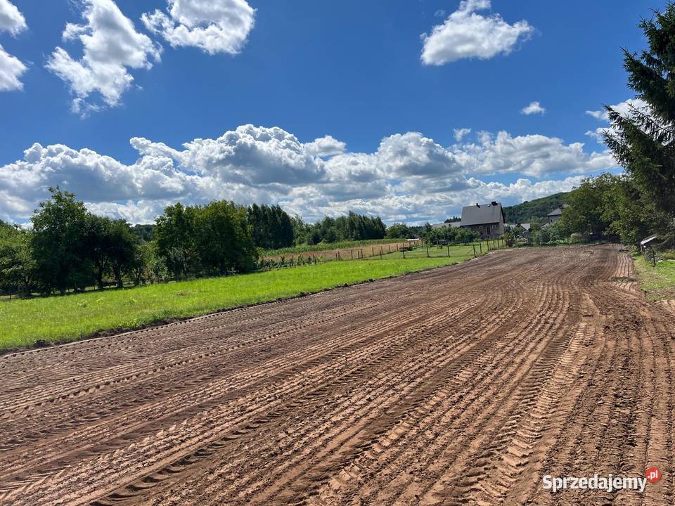 Rekultywacja Mulczer leśny Mulczowanie wgłębny prace ogrodowe
