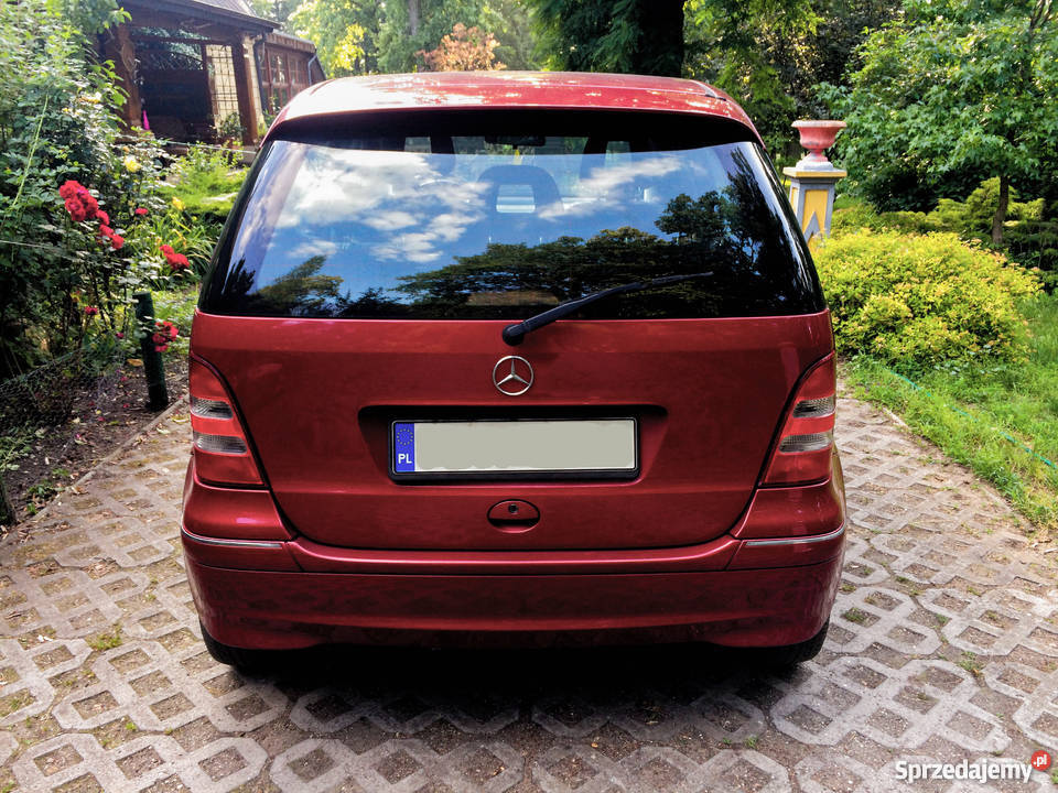 minivan śląskie