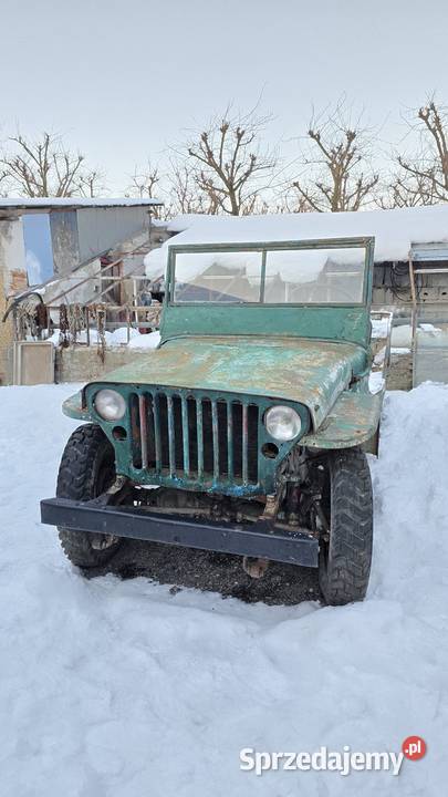 Willys MB 1944 Tarnobrzeg