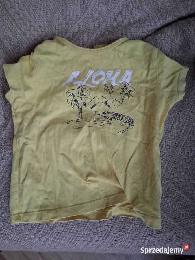 Koszulki chłopięca rozmiar 68 Gdynia