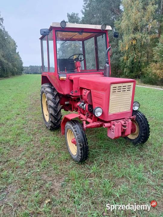 Władimirec Kaszewice