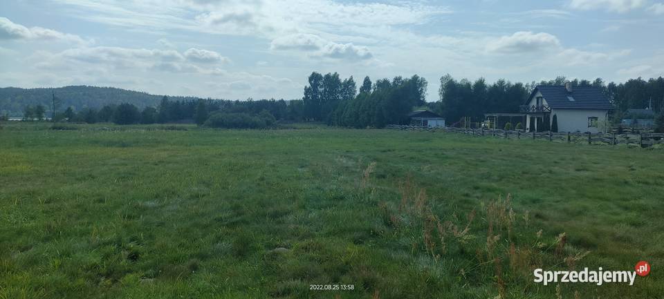 Dzialki budowlane 1 parcele Wiele