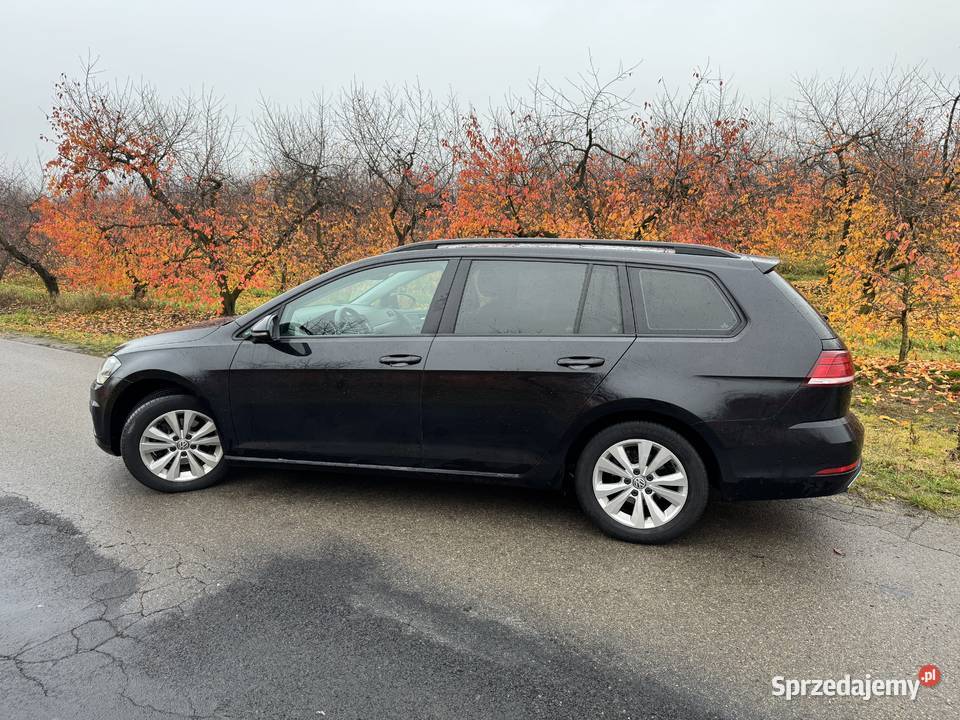 Volkswagen Golf VII Comfortline 16 TDI salon kurtyny powietrzne Ludwików