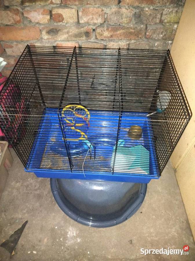 Klatka gryzoni ptaszków Częstochowa