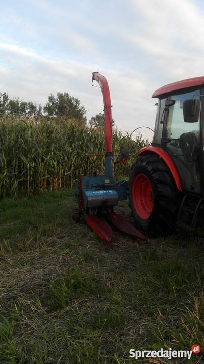 Sieczkarnia kukurydzy MENGELE jednorzędowa kujawsko-pomorskie Wielkie Radowiska