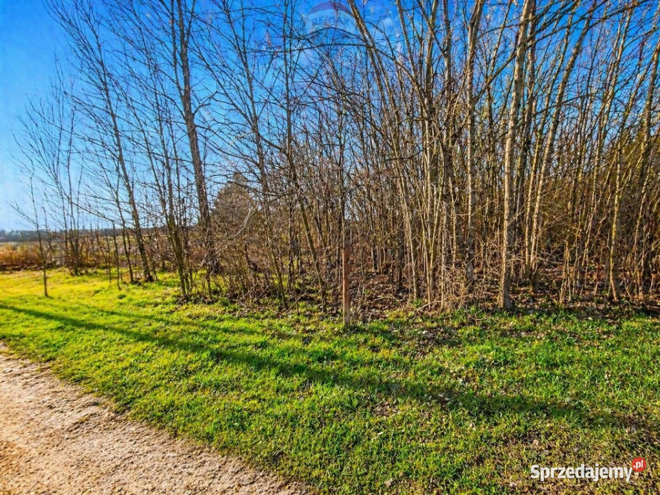 działka w Złotnikach Złotniki sprzedam