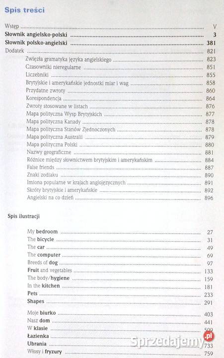 Pons Podręczny słownik angielskopolski miękka Chełm