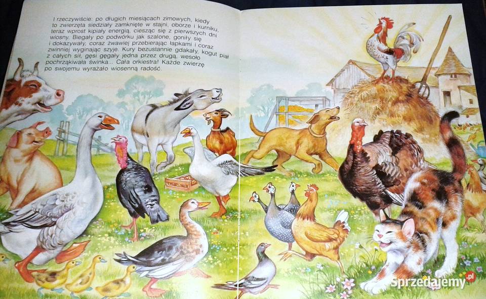 Powrót jaskółki Bajki z wiejskiego podwórka Chełm