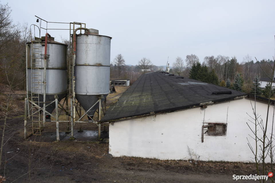 Ferma Drobiu hale produkcyjno przemysłowe Miastko